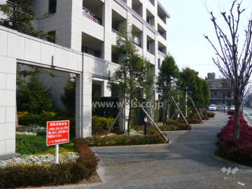 敷地の周囲には植栽スペースが設けられています。