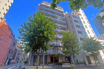 セザールスカイタワー銀座東の外観（北西側から）