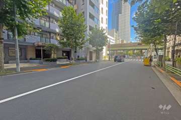 敷地の西側前面道路（北側から）