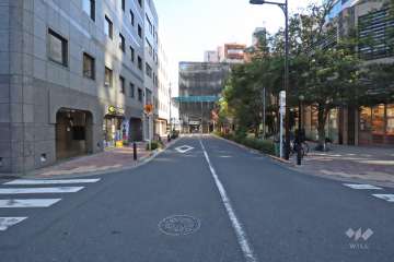 敷地北側の前面道路(西側から)