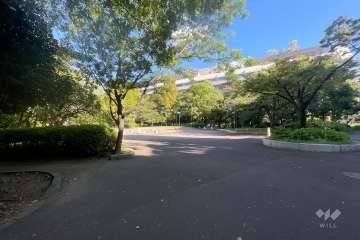 敷地に隣接する中央区立あかつき公園