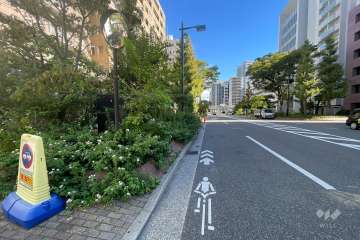 敷地の東側前面道路（南側から）