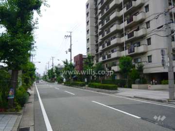 前面道路は街路樹のきれいな「建石筋」です。