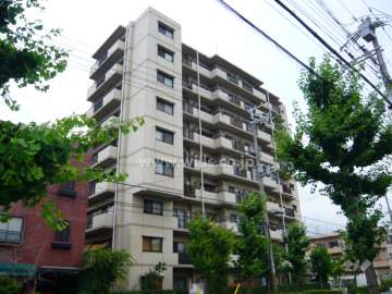 リバーサイド香櫨園の外観（南東側から）