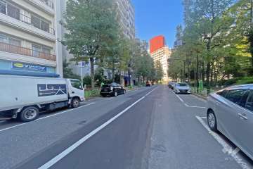 敷地の西側前面道路（北側から）