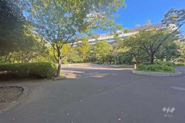 敷地に隣接した『中央区立あかつき公園』
