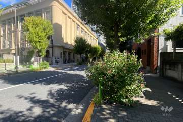 敷地西側の前面道路