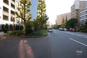 敷地西側の前面道路(北側から)