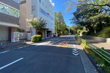 敷地西側の前面道路　　　