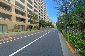 敷地西側の前面道路（北側から）