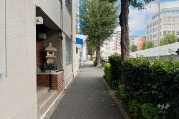 敷地東側の前面道路