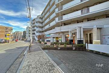 敷地の西側前面道路（南側から）