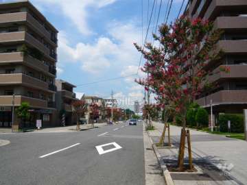 敷地の東側は街路樹のきれいな通りです。