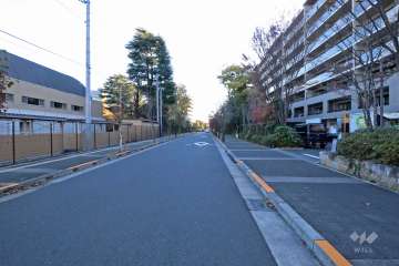 敷地東側の前面道路（北側から）