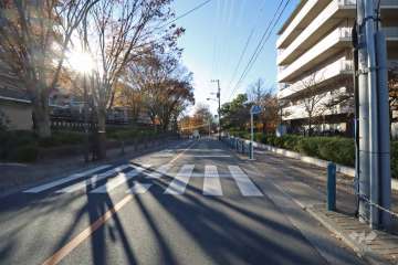 敷地北側の前面道路（東側から）