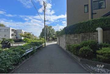 敷地の北側前面道路（西側から）