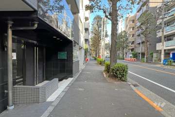 敷地南側の前面道路（西側から）
