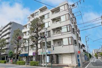 日神シルバーパレス鷺宮の外観（南東側から）