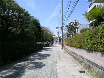 敷地の南側には『大谷記念美術館』があります。