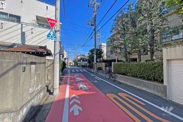 敷地の西側前面道路（南側から）