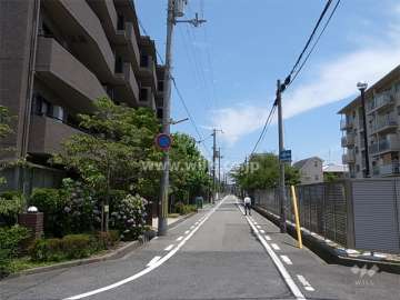 敷地南側の前面道路