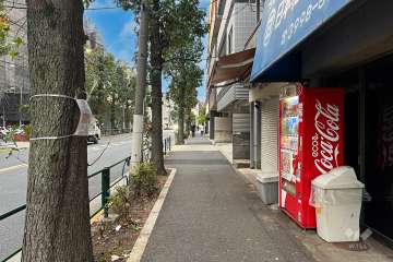 敷地南西側の前面道路（南東側から）