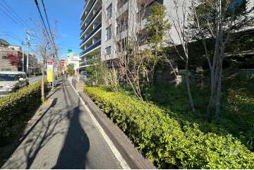 敷地の西側前面道路（南側から）