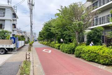 敷地の西側前面道路（南側から）