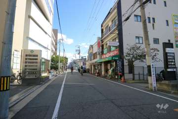 敷地南側の前面道路（西側から）
