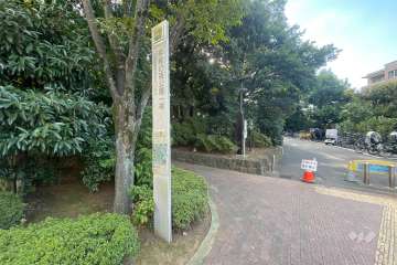 敷地に隣接する平和の森公園