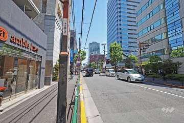 敷地南側の前面道路（西側から）