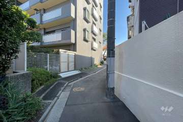 敷地南側の前面道路（西側から）