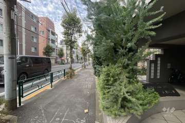 敷地南側の前面道路