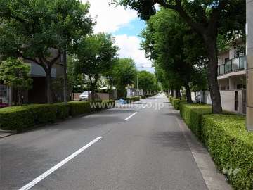 敷地北側の通りは街路樹がきれいです。