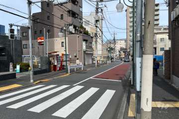 敷地の西側前面道路（南側から）