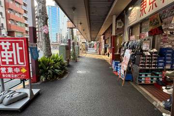 敷地南側の前面道路　