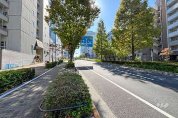 敷地西側の前面道路