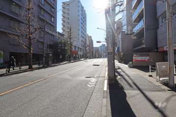 敷地の西側の前面道路（北側から）