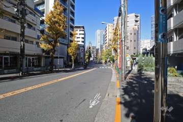 敷地西側の前面道路（南側から）