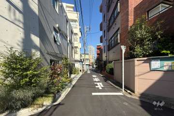 敷地の西側前面道路（南側から）