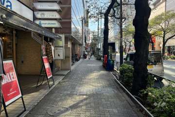 敷地の西側前面道路（北側から）