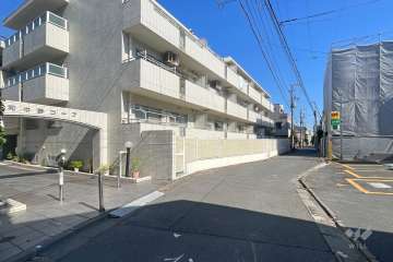 敷地南側の前面道路　