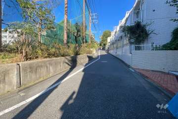 敷地の西側前面道路（南側から）