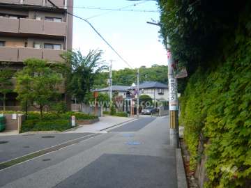 周辺の街並み