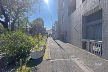 敷地東側の前面道路（北側から）