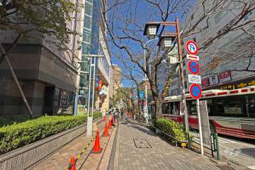 敷地東側の前面道路（中野通り）