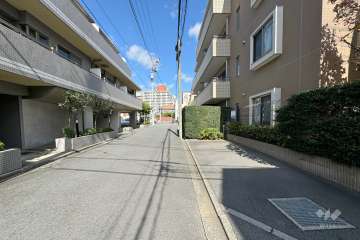 敷地東側の前面道路　