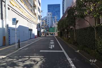 敷地北側の前面道路