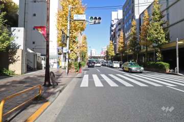 敷地東側の前面道路（南側から）