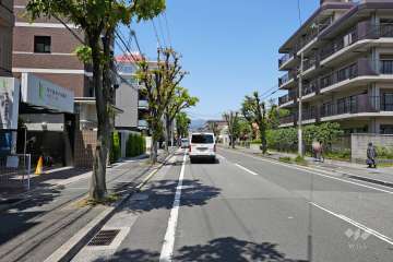 敷地北東側前面道路（東側から）
